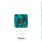 Deep Sea Art Card