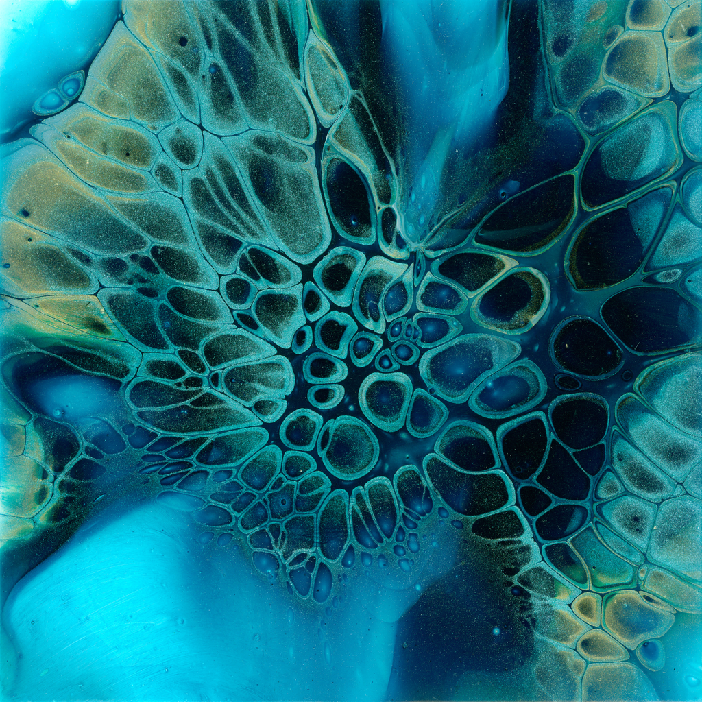Hand Painted Deep Sea Anenome Tile Coaster